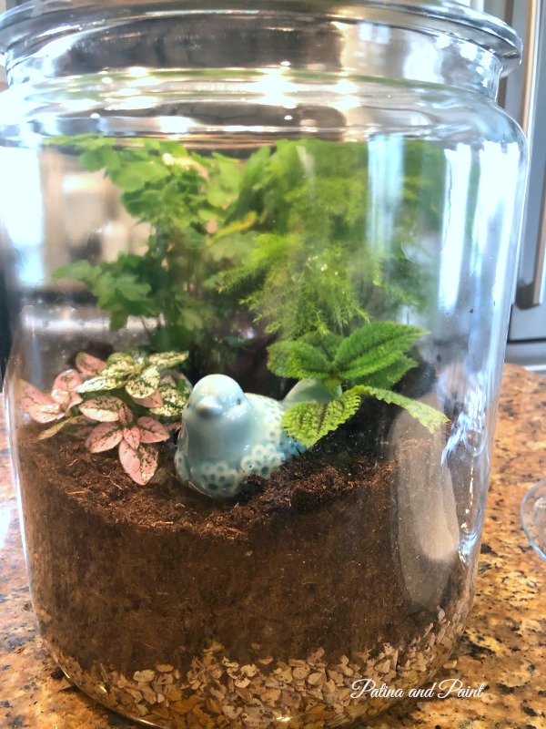 plants and bird