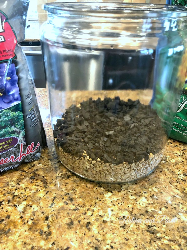 I love terrariums