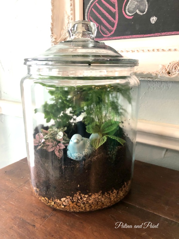 I love terrariums