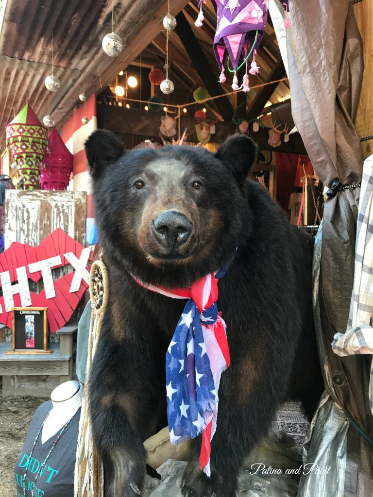 bear