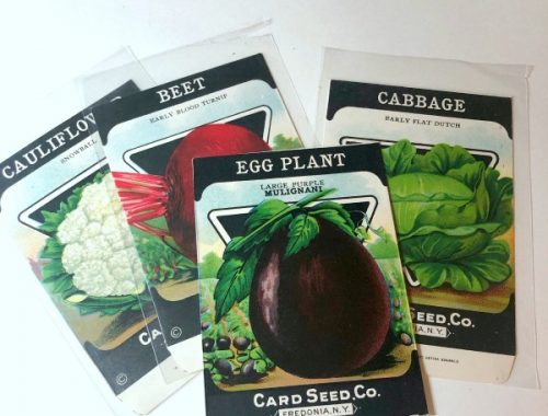 Seed Packets