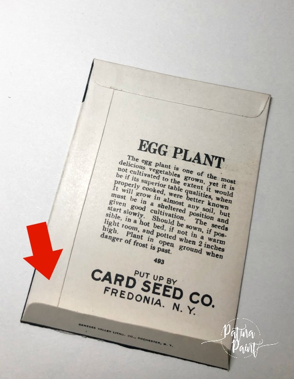 Seed Packet