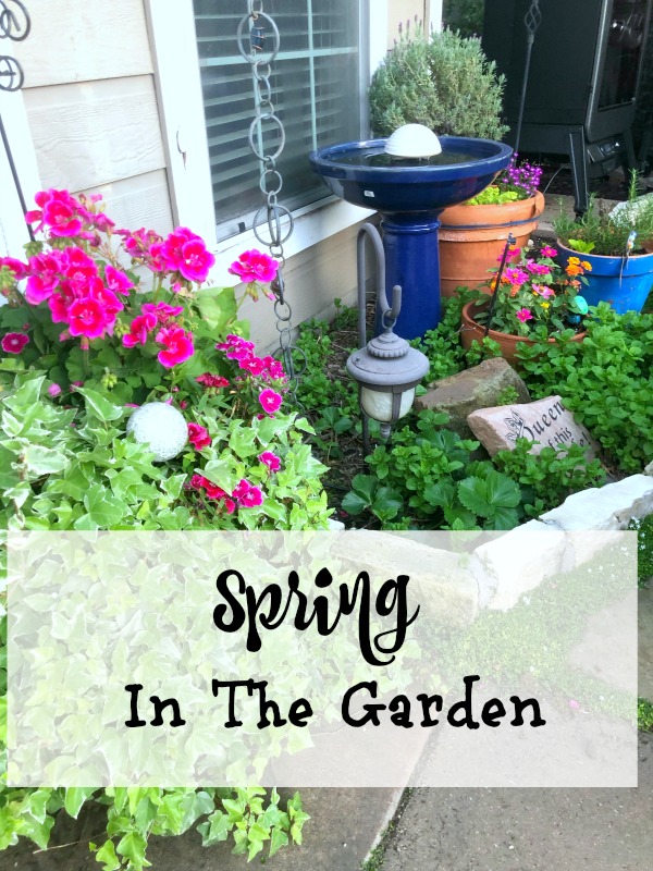 Spring in the Garden