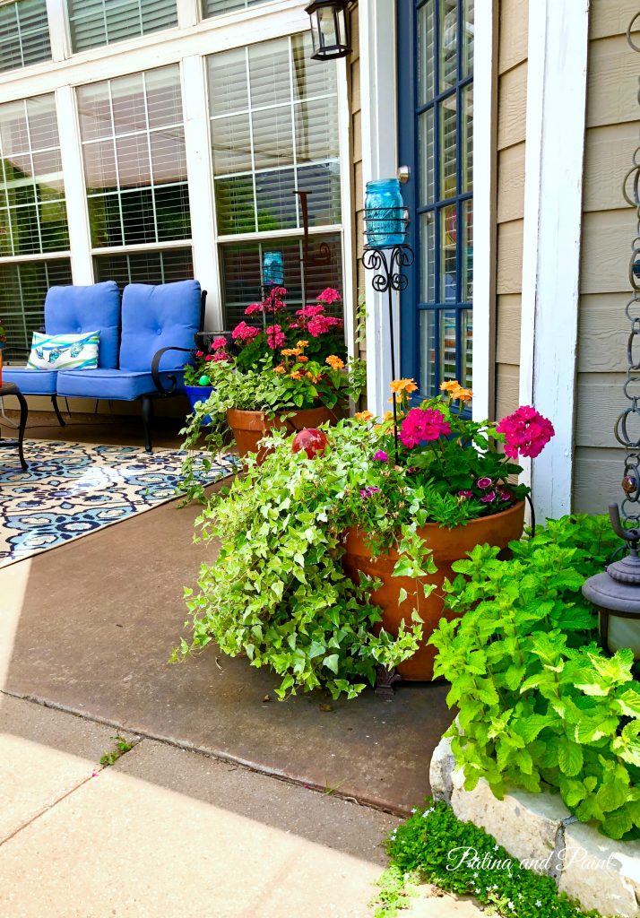 summer backyard