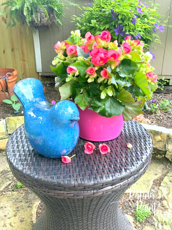 Mother's Day Gifts