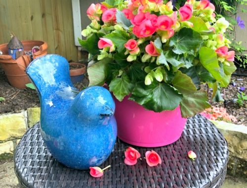 Mother's Day gifts
