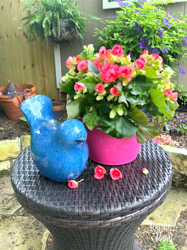 Mother's Day gifts