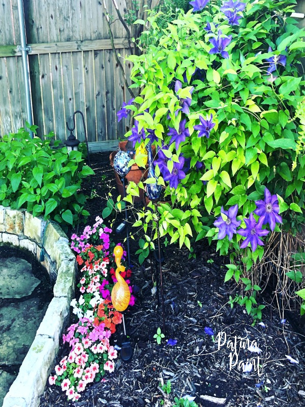 Spring in the garden