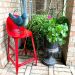 red stool, bird, plants