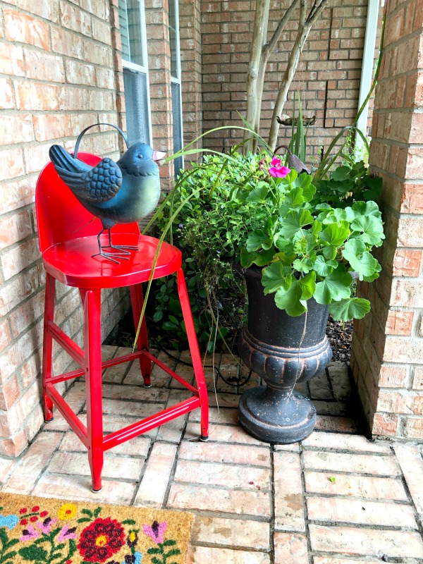 red stool, bird, plants