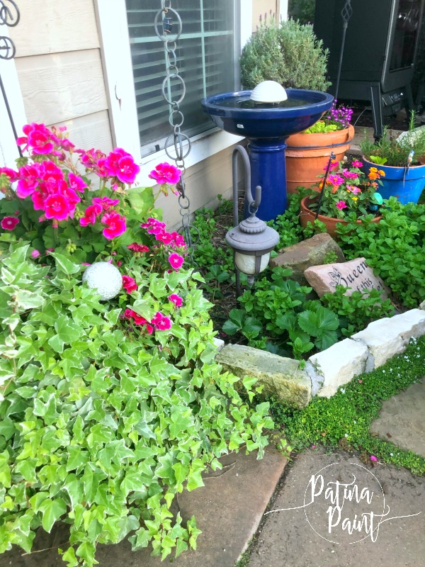 Spring in the garden