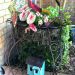 Flowers, planter, birdhouse
