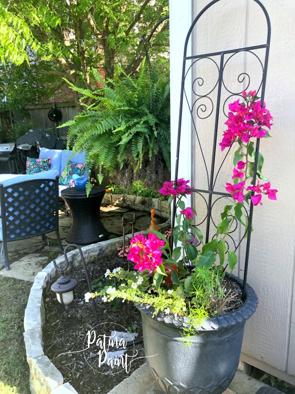Spring in the garden