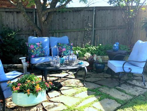 spring in the garden