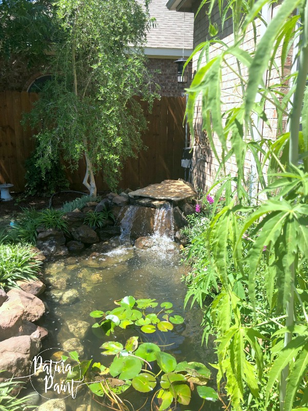 pond, waterfall