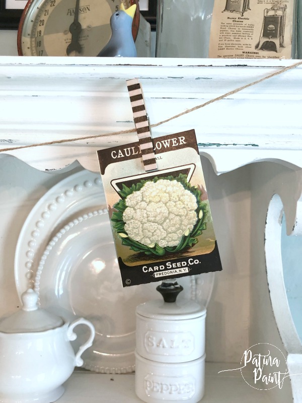 seed packets in the kitchen