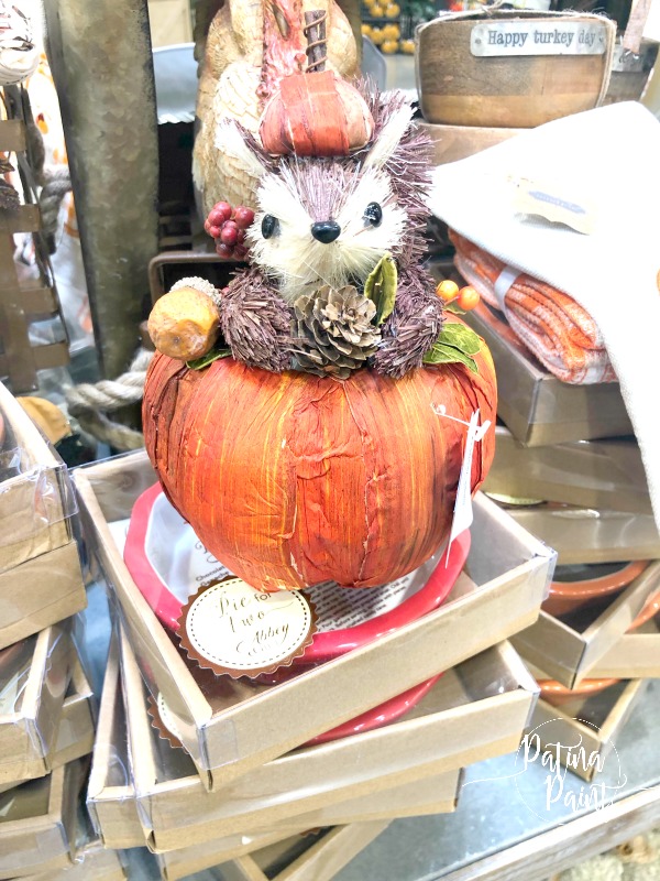 squirrel in a pumpkin